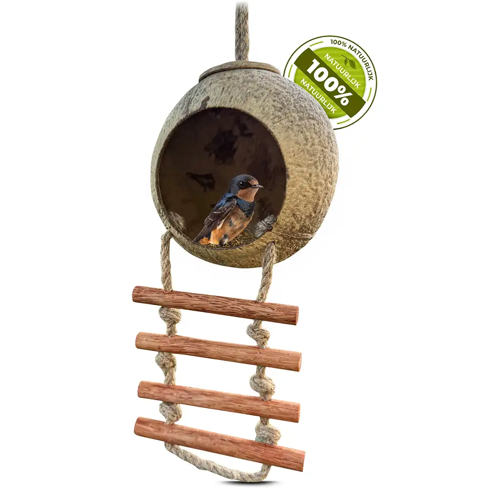 Kokosnoot voederhuisje